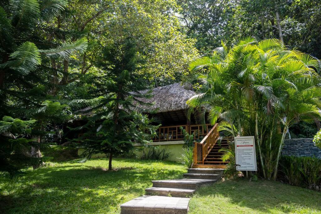 Villa Victoria Харабакоа Экстерьер фото